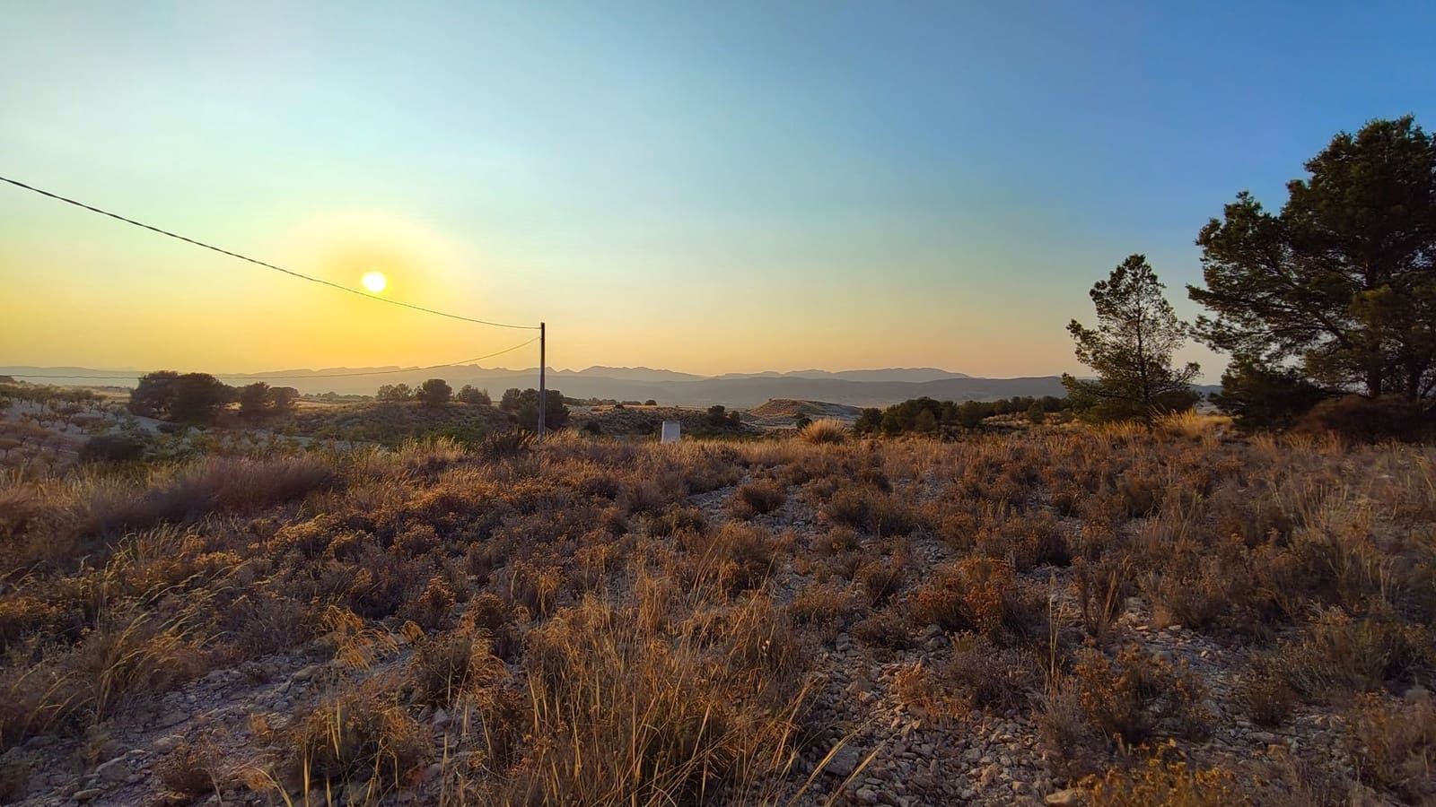 Finca/Casa di Campagna in vendita in Jumilla - 33.500 € (Rif: 9159246)