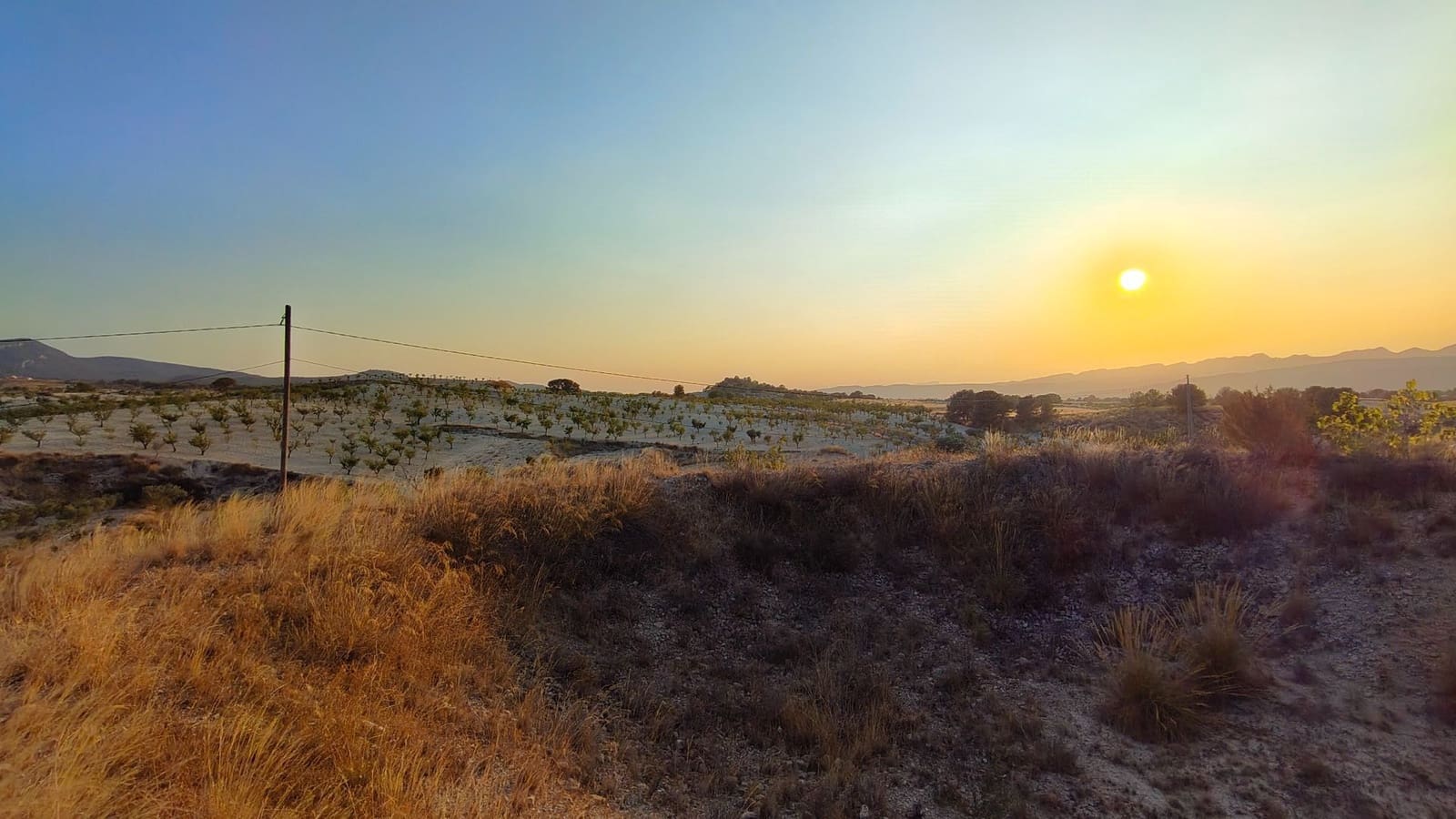 Finca/Casa di Campagna in vendita in Jumilla - 33.500 € (Rif: 9159246)