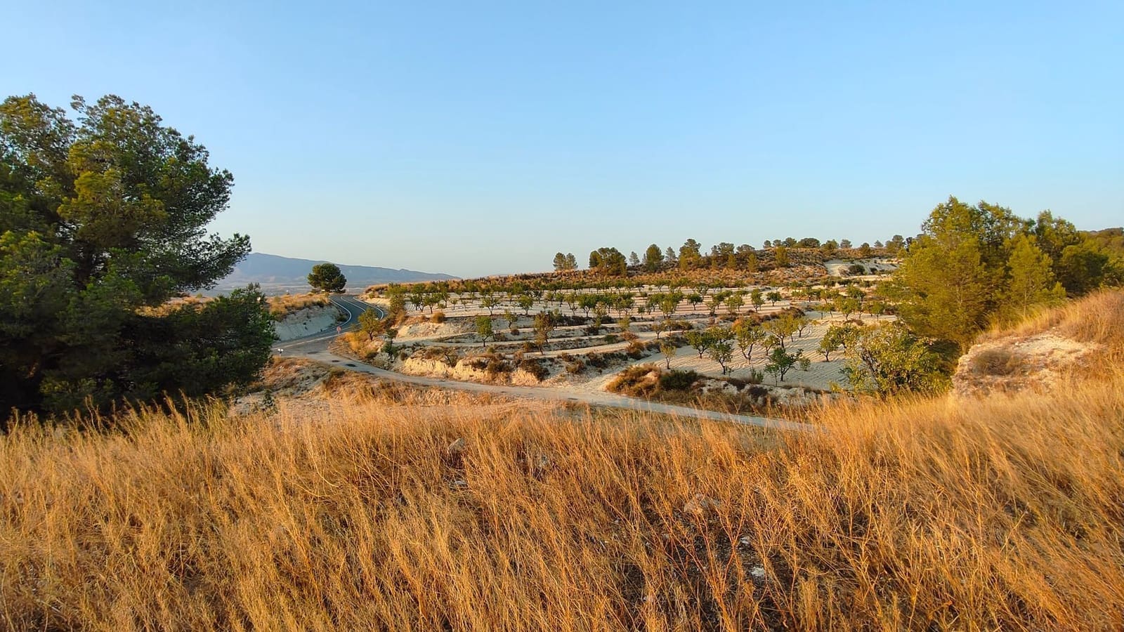 Finca/Casa di Campagna in vendita in Jumilla - 33.500 € (Rif: 9159246)