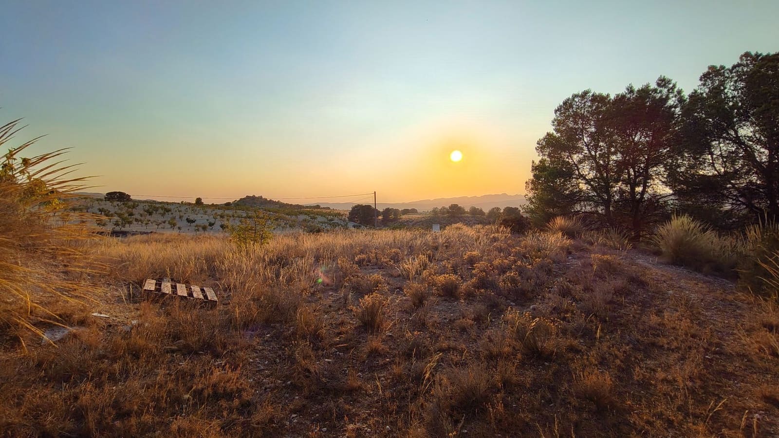 Finca/Casa di Campagna in vendita in Jumilla - 33.500 € (Rif: 9159246)