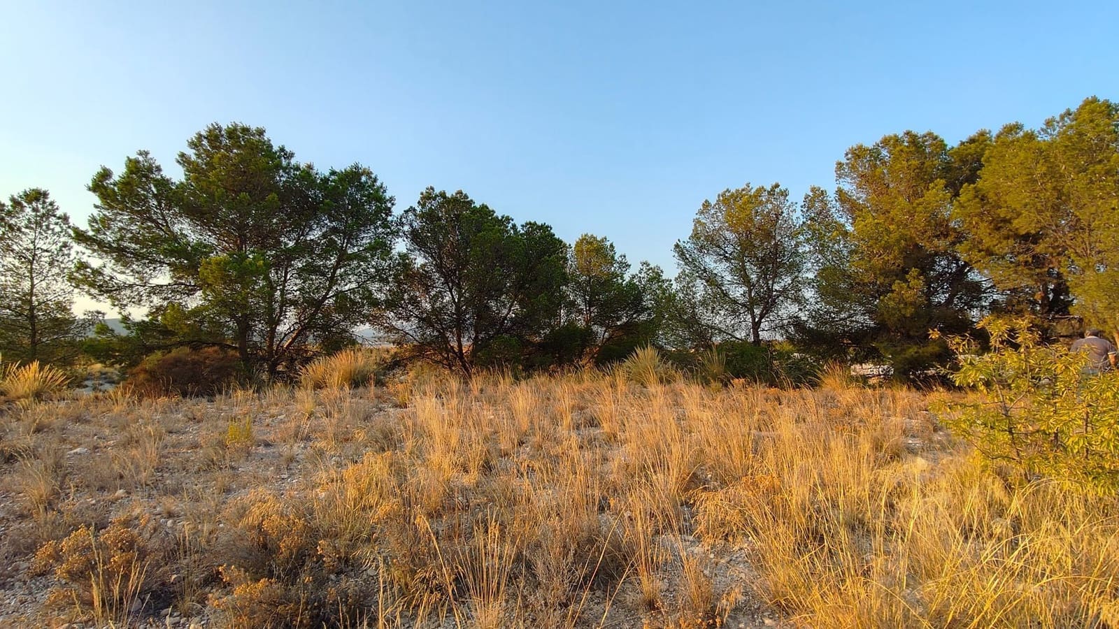 Finca/Casa di Campagna in vendita in Jumilla - 33.500 € (Rif: 9159246)