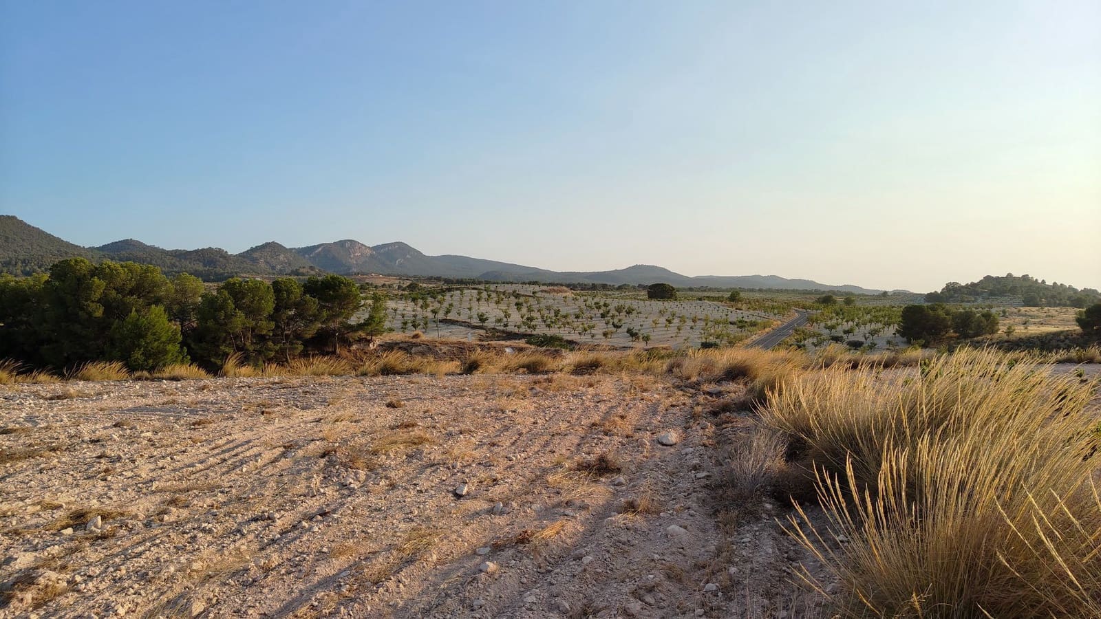 Finca/Landehus til salg i Jumilla - € 39.900 (Ref: 9159247)