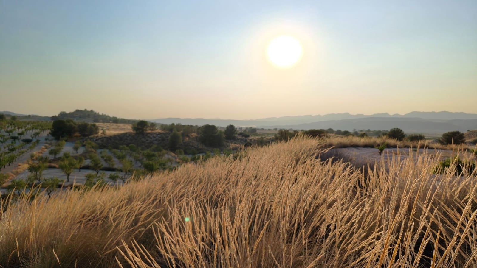 Finca/Landehus til salg i Jumilla - € 39.900 (Ref: 9159247)