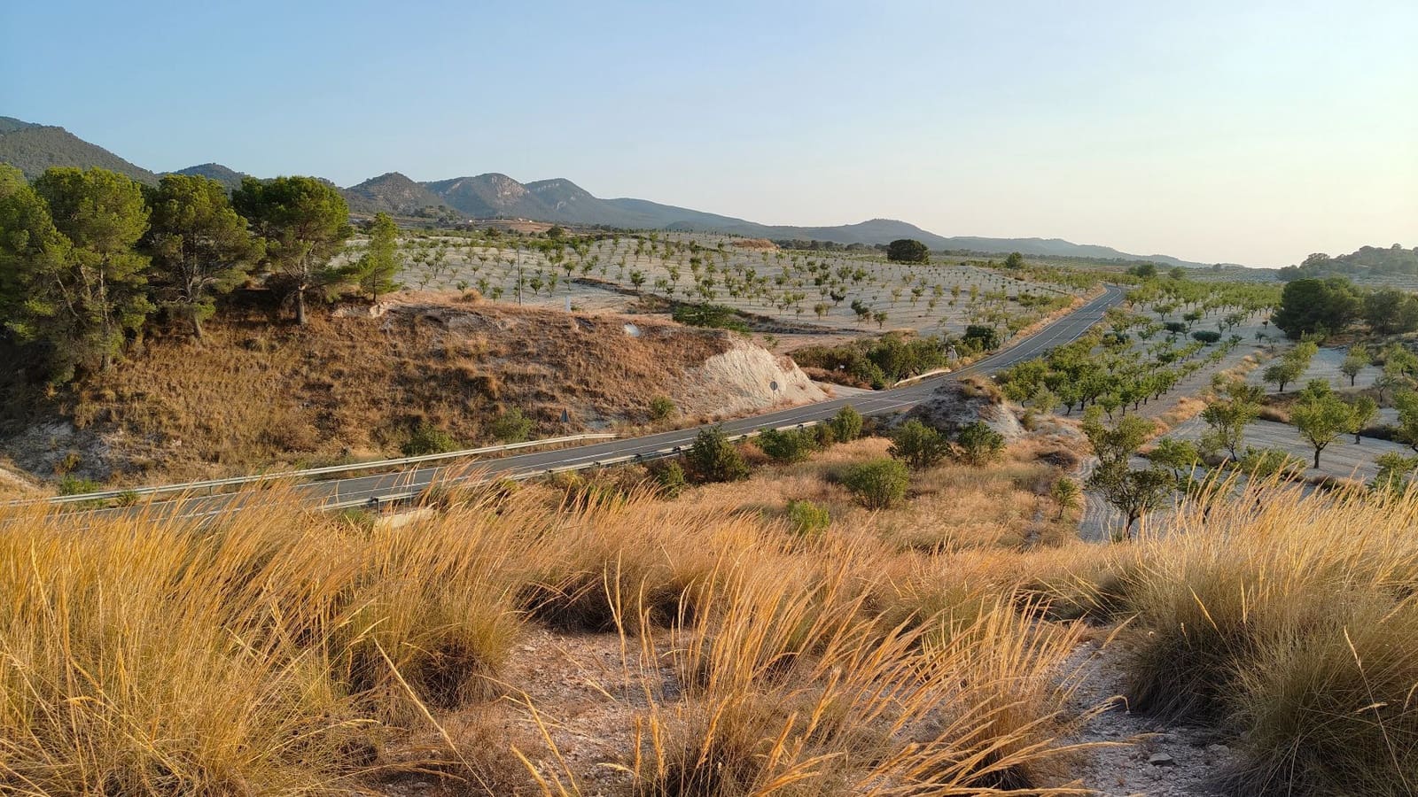 Finca/Landehus til salg i Jumilla - € 39.900 (Ref: 9159247)