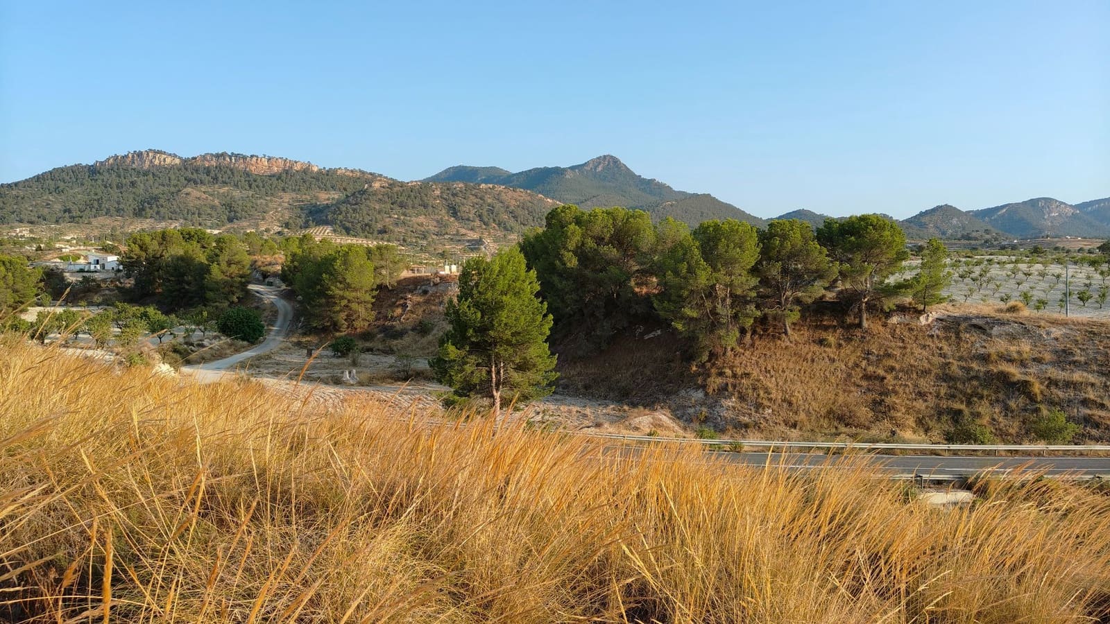 Finca/Landehus til salg i Jumilla - € 39.900 (Ref: 9159247)