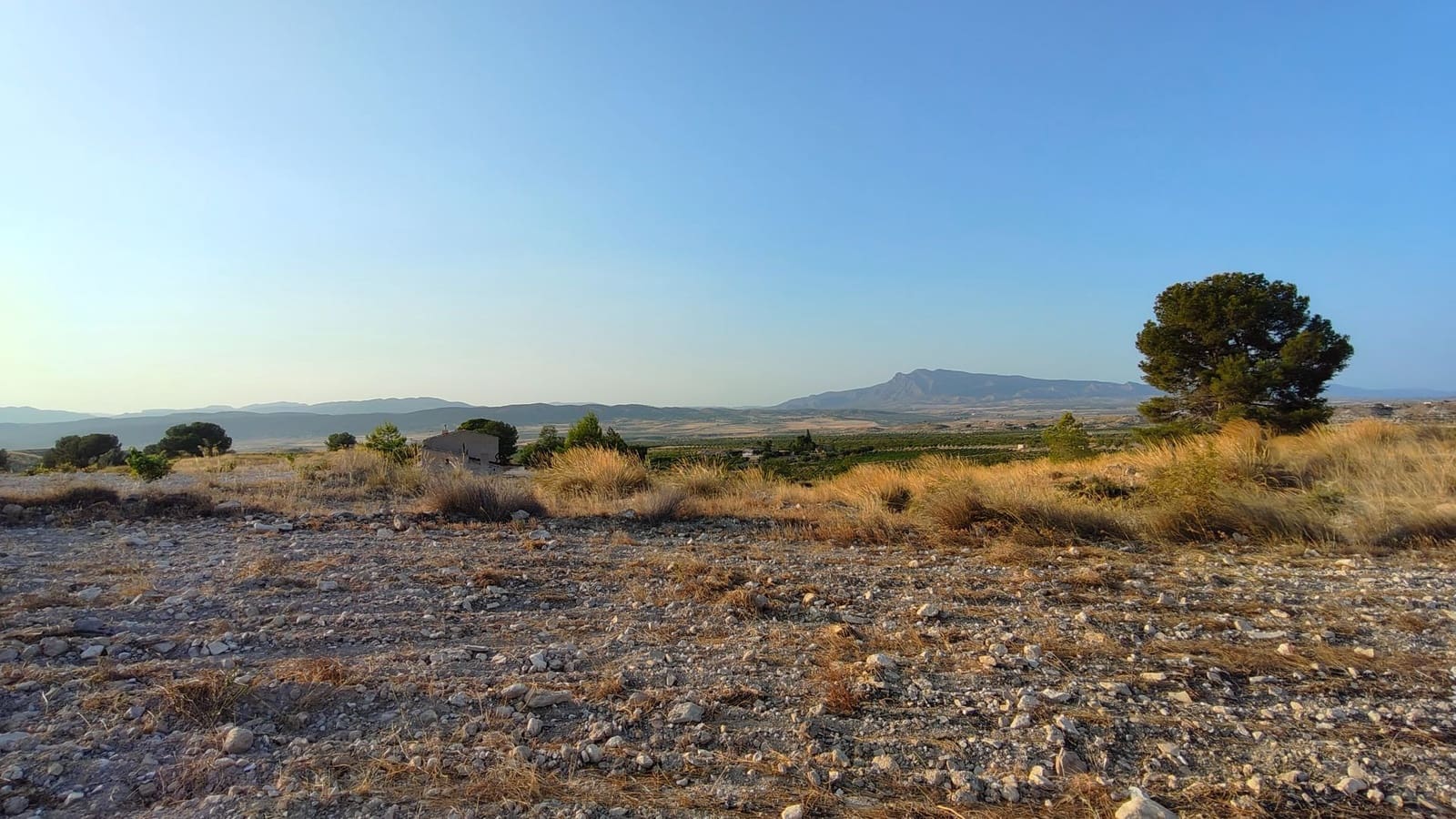 Finca/Landehus til salg i Jumilla - € 39.900 (Ref: 9159247)