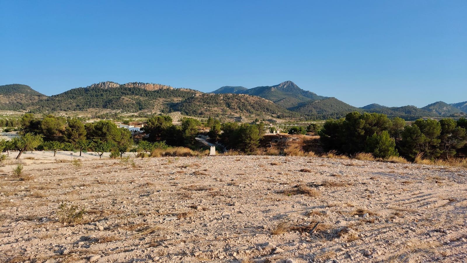 Finca/Landehus til salg i Jumilla - € 39.900 (Ref: 9159247)