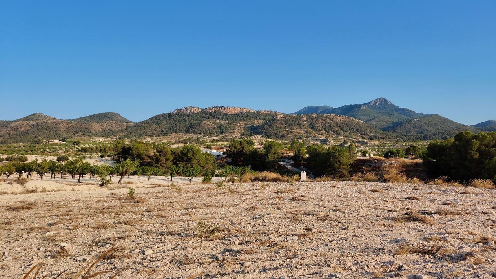 Finca/Landehus til salg i Jumilla - € 39.900 (Ref: 9159247)