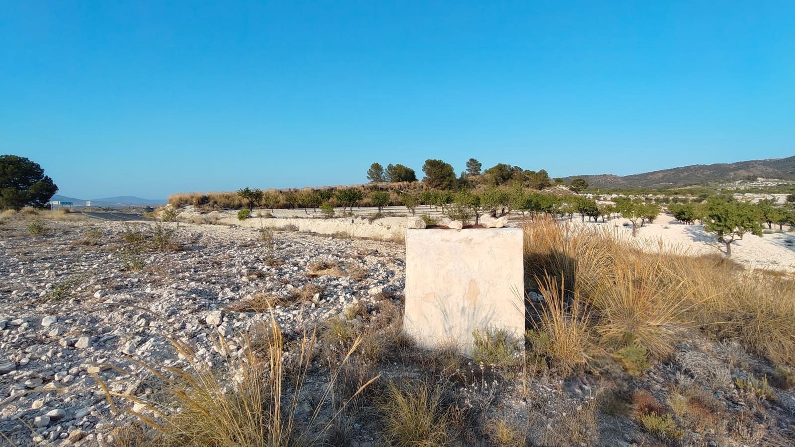 Finca/Landehus til salg i Jumilla - € 39.900 (Ref: 9159247)