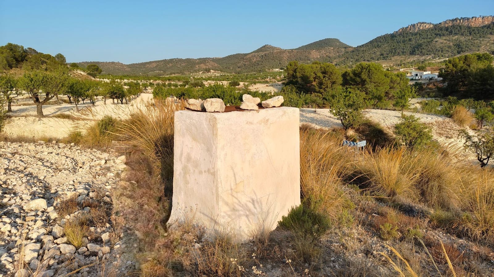 Finca/Landehus til salg i Jumilla - € 39.900 (Ref: 9159247)