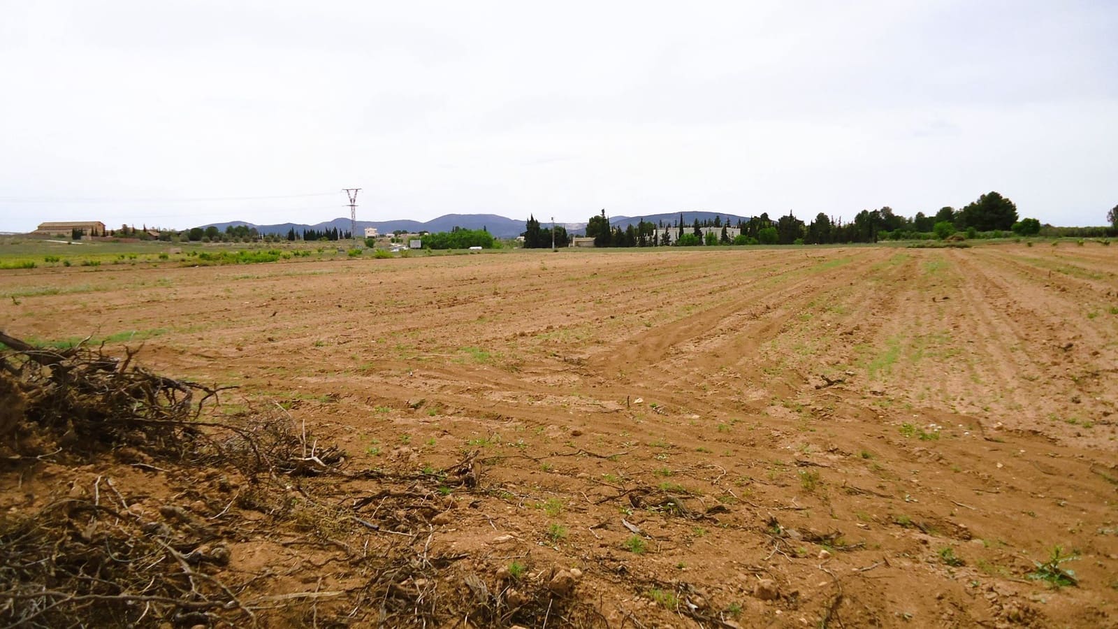 Finca/Landehus til salg i Pinoso - € 31.500 (Ref: 9202046)