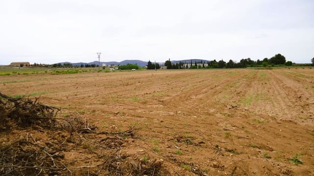 Finca/Landehus til salg i Pinoso - € 31.500 (Ref: 9202046)