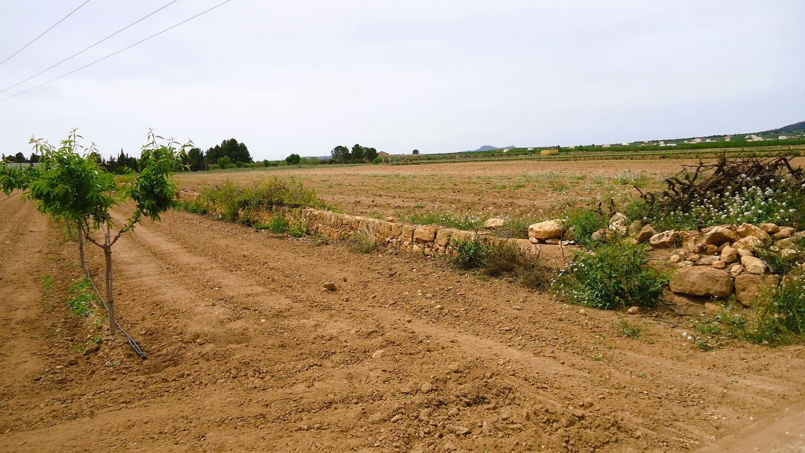 Finca/Landehus til salg i Pinoso - € 31.500 (Ref: 9202046)