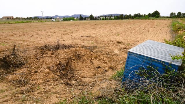 Finca/Landehus til salg i Pinoso - € 31.500 (Ref: 9202046)