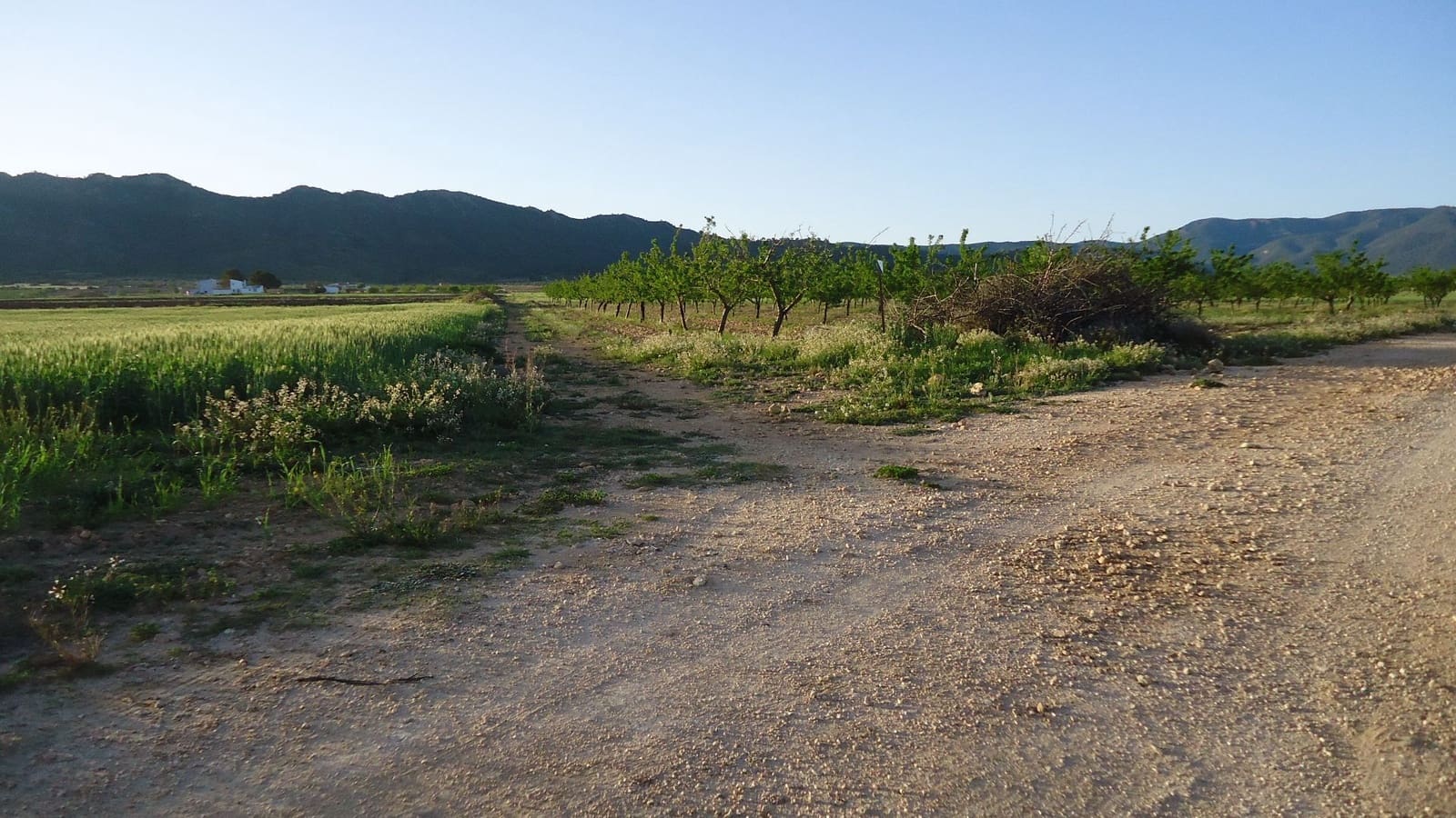 Finca/Herregård til salgs i Yecla - € 26 500 (Ref: 9228179)