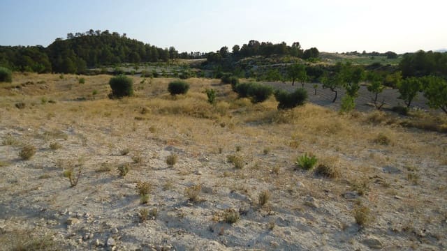 Finca/Landehus til salg i Jumilla - € 10.500 (Ref: 9280743)