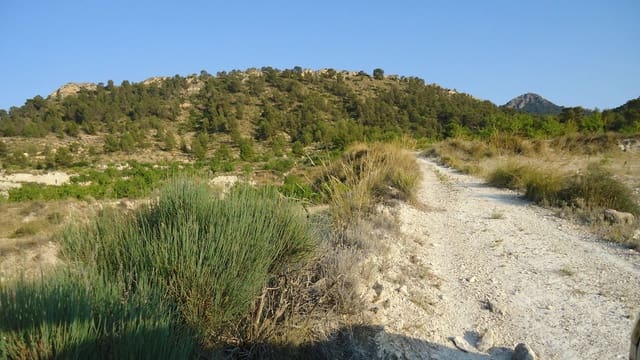 Finca/Landehus til salg i Jumilla - € 10.500 (Ref: 9280743)