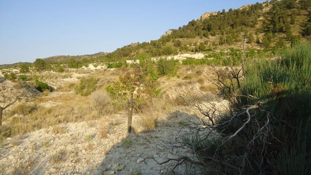 Finca/Landehus til salg i Jumilla - € 10.500 (Ref: 9280743)