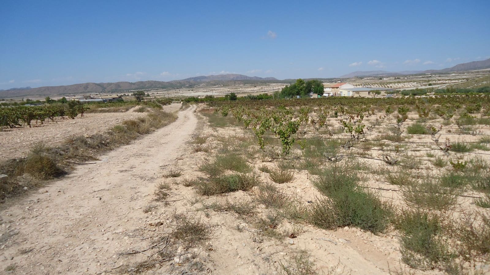 Finca/Casa di Campagna in vendita in Jumilla - 37.500 € (Rif: 9280744)