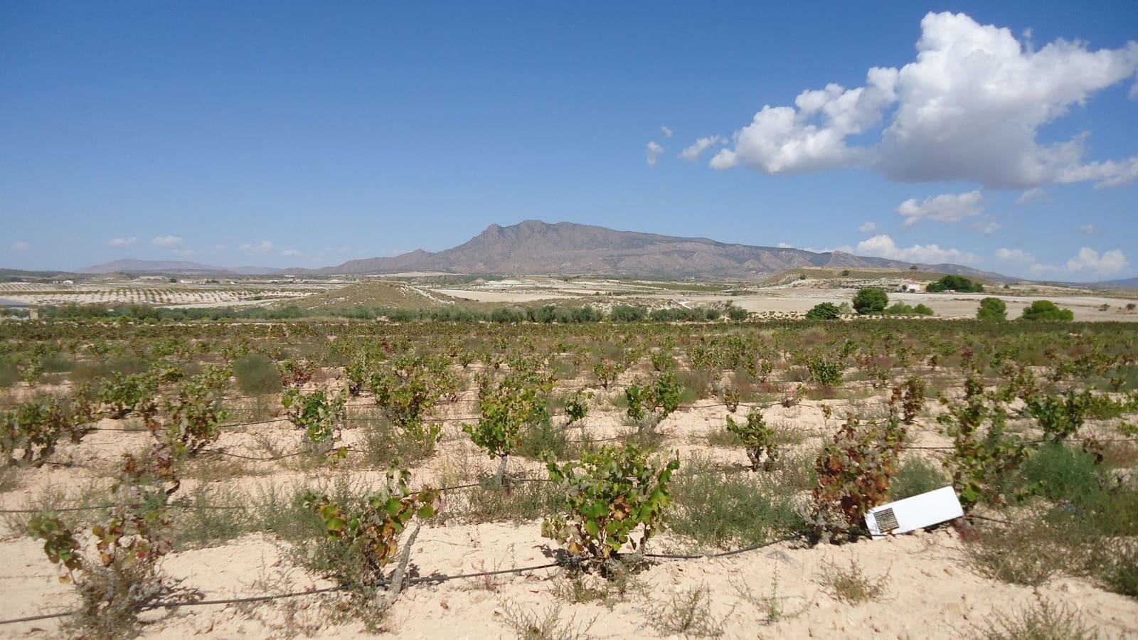 Finca/Casa di Campagna in vendita in Jumilla - 37.500 € (Rif: 9280744)