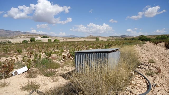 Finca/Casa di Campagna in vendita in Jumilla - 37.500 € (Rif: 9280744)