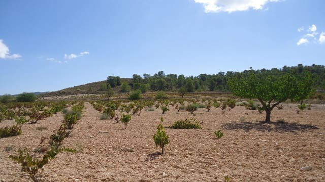 Finca/Casa di Campagna in vendita in Jumilla - 37.500 € (Rif: 9280744)