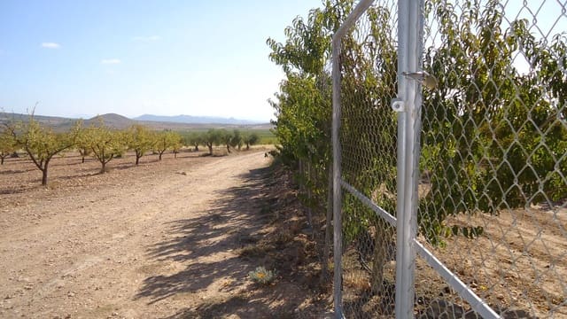 Finca/Landehus til salg i Raspay, Yecla - € 43.000 (Ref: 9280745)