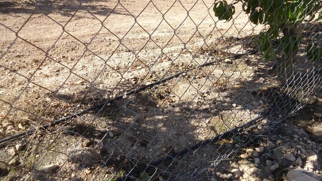 Finca/Landehus til salg i Raspay, Yecla - € 43.000 (Ref: 9280745)