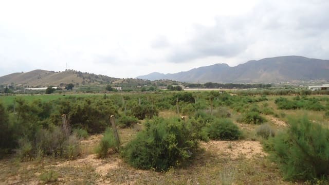 Finka/Dom wiejski na sprzedaż w Hondón de las Nieves - 42 000 € (Ref: 9280746)