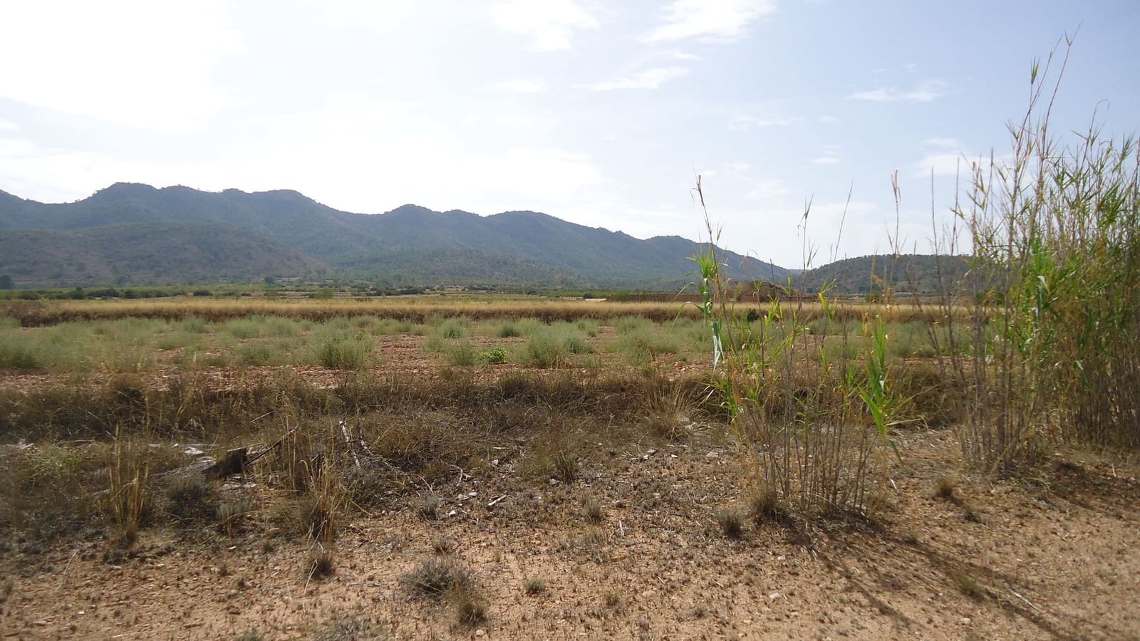 3 slaapkamer Villa te koop in Yecla - € 122.000 (Ref: 9280747)