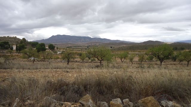 Finca/Maison de Campagne à vendre à Abanilla - 124 900 € (Ref: 9310441)