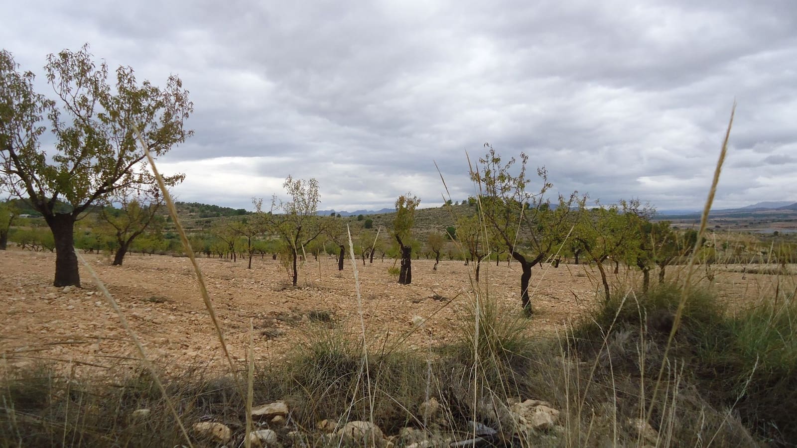 Finca/Maison de Campagne à vendre à Abanilla - 124 900 € (Ref: 9310441)