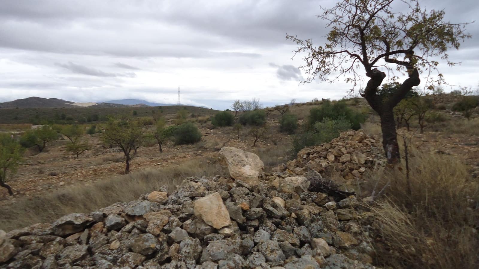 Finca/Maison de Campagne à vendre à Abanilla - 124 900 € (Ref: 9310441)