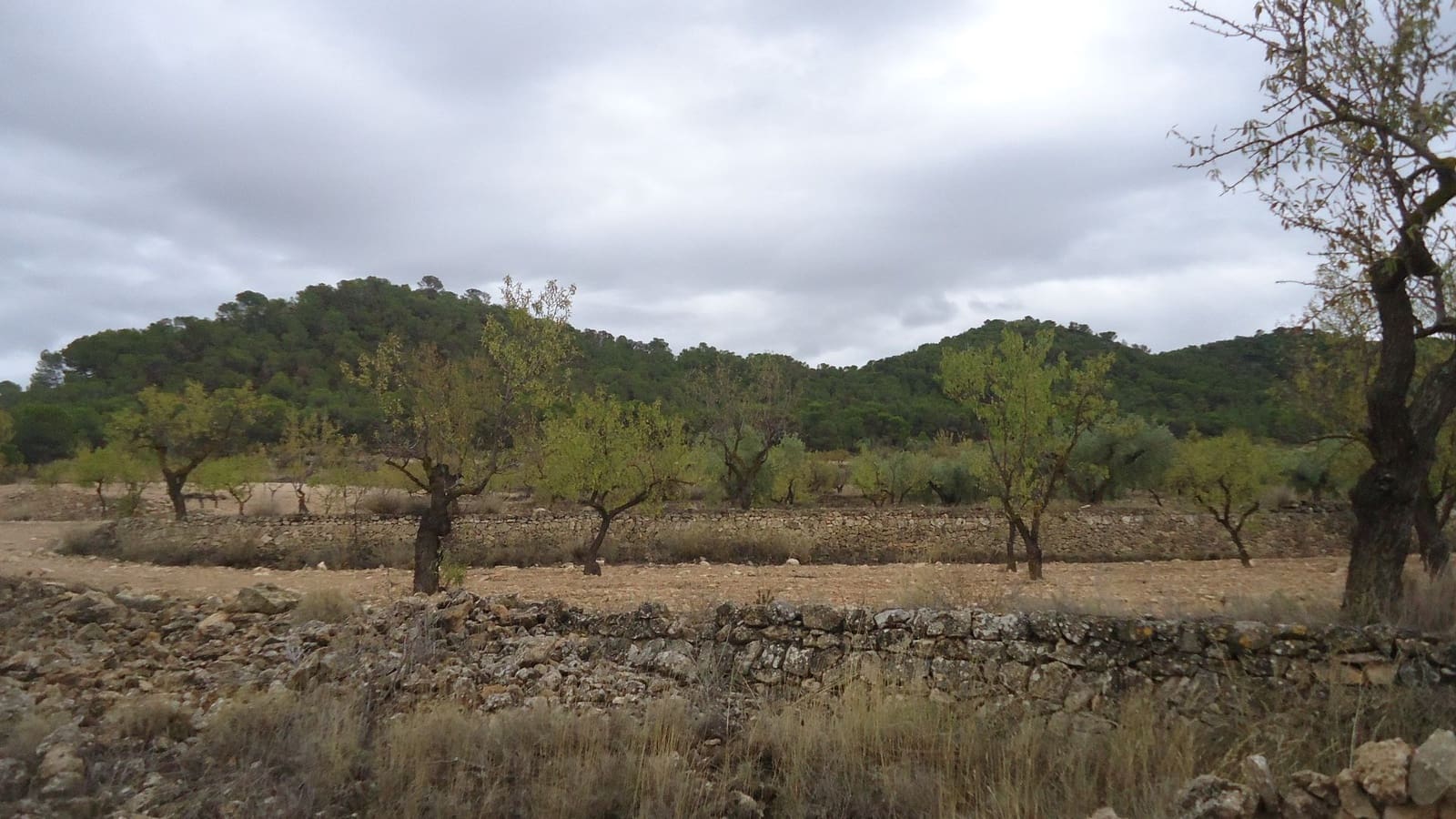 Finca/Maison de Campagne à vendre à Abanilla - 124 900 € (Ref: 9310441)