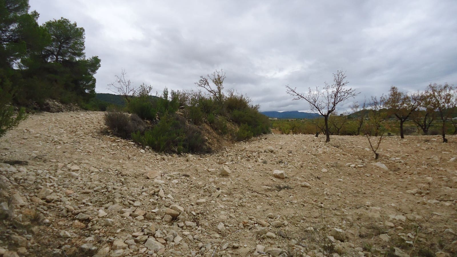 Finca/Maison de Campagne à vendre à Abanilla - 124 900 € (Ref: 9310441)