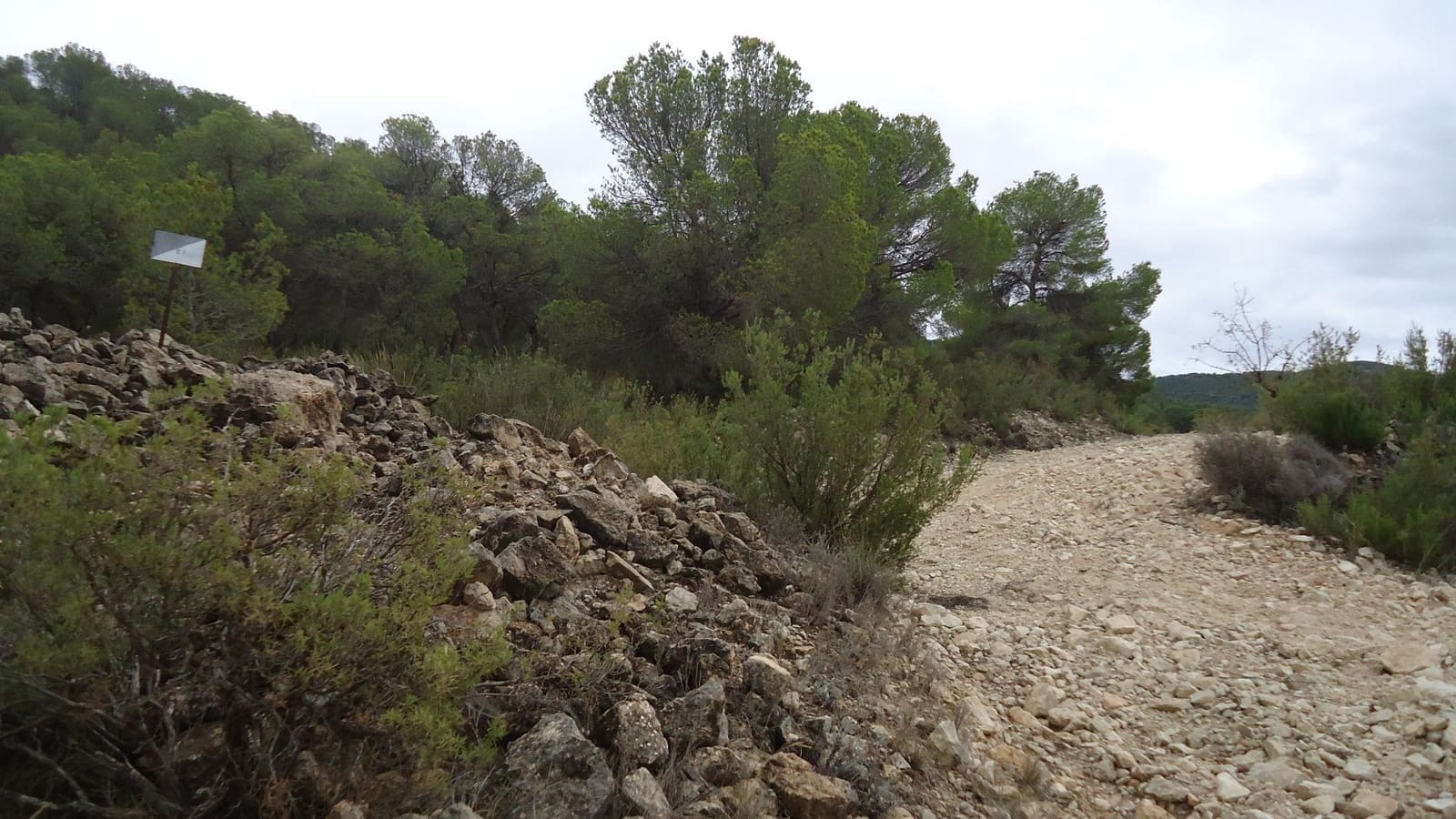 Finca/Maison de Campagne à vendre à Abanilla - 124 900 € (Ref: 9310441)