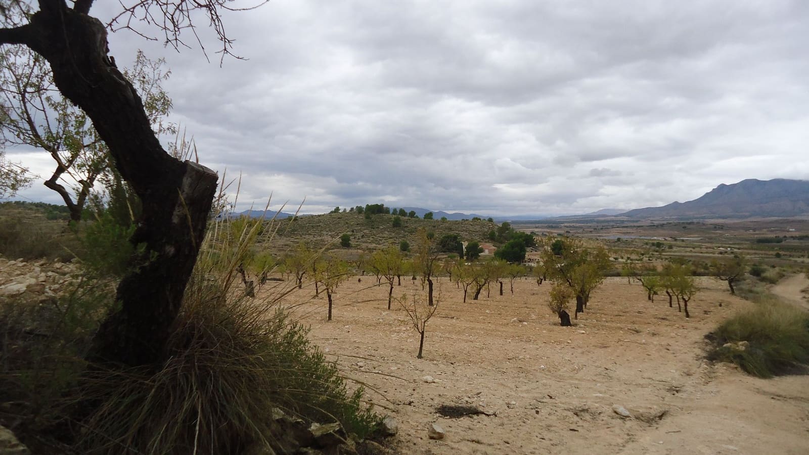 Finca/Maison de Campagne à vendre à Abanilla - 124 900 € (Ref: 9310441)