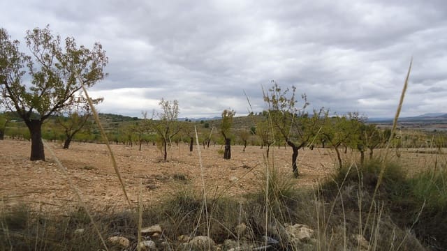 Finca/Maison de Campagne à vendre à Abanilla - 124 900 € (Ref: 9310441)