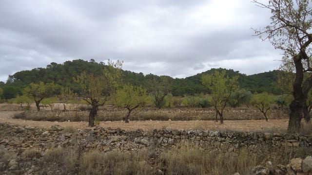 Finca/Maison de Campagne à vendre à Abanilla - 124 900 € (Ref: 9310441)