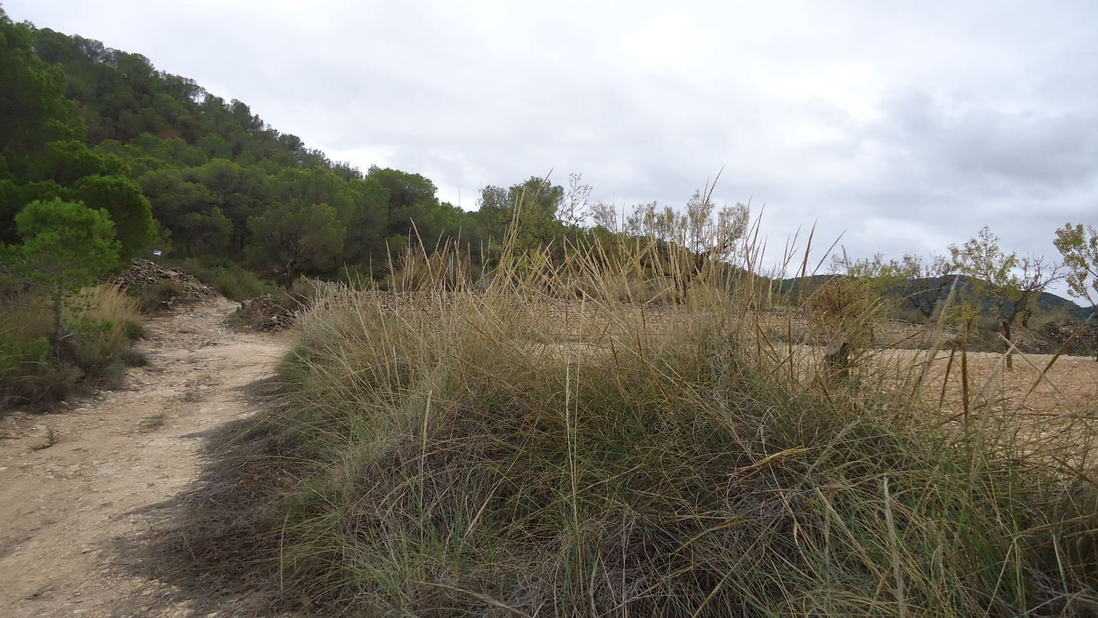 Finca/Maison de Campagne à vendre à Abanilla - 124 900 € (Ref: 9310441)