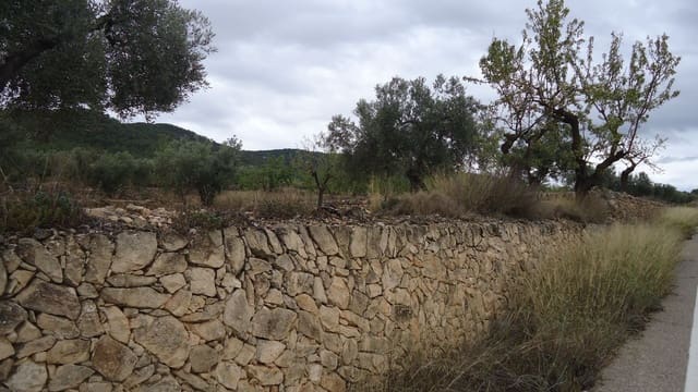 Finca/Maison de Campagne à vendre à Abanilla - 124 900 € (Ref: 9310441)