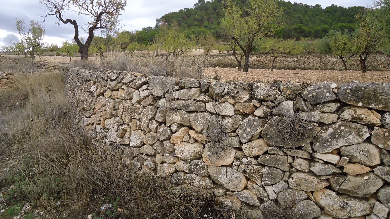 Finca/Maison de Campagne à vendre à Abanilla - 124 900 € (Ref: 9310441)