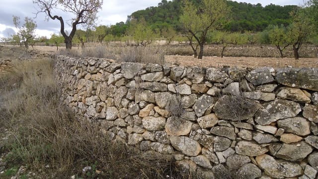 Finca/Maison de Campagne à vendre à Abanilla - 124 900 € (Ref: 9310441)