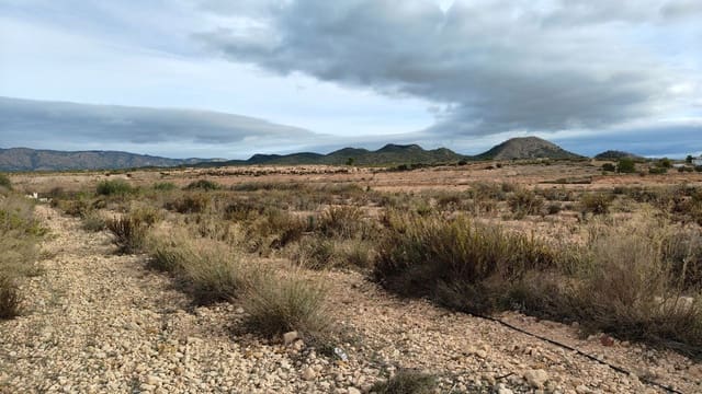 Finca/Casa di Campagna in vendita in Monóvar / Monóver - 39.900 € (Rif: 9340666)