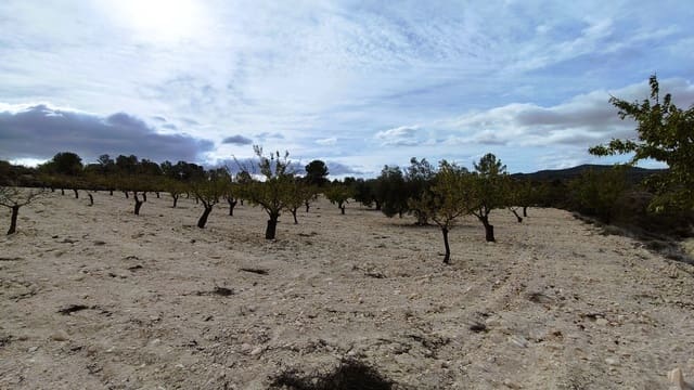 Finca/Casa di Campagna in vendita in Monóvar / Monóver - 59.900 € (Rif: 9346761)