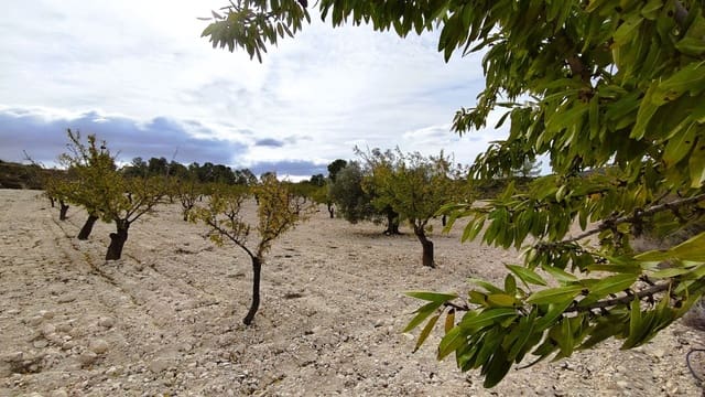 Finca/Casa di Campagna in vendita in Monóvar / Monóver - 59.900 € (Rif: 9346761)