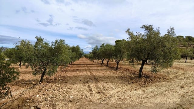 Finca/Casa di Campagna in vendita in Monóvar / Monóver - 59.900 € (Rif: 9346761)