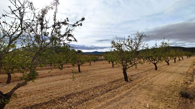 Finca/Casa di Campagna in vendita in Monóvar / Monóver - 59.900 € (Rif: 9346761)