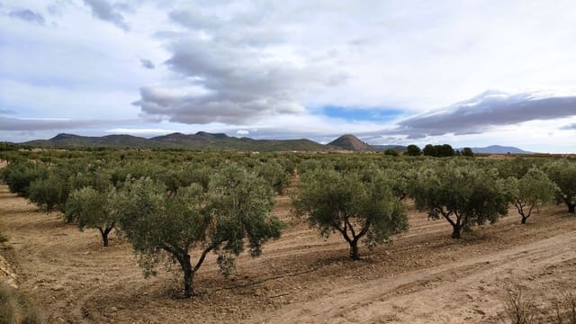 Finca/Casa di Campagna in vendita in Monóvar / Monóver - 55.900 € (Rif: 9346762)