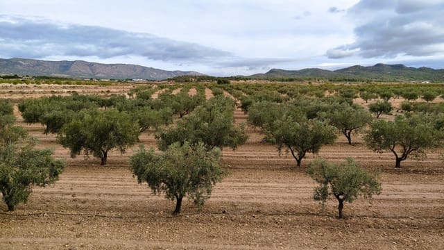 Finca/Casa di Campagna in vendita in Monóvar / Monóver - 55.900 € (Rif: 9346762)